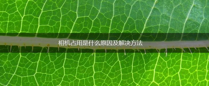 相机占用是什么原因及解决方法,第1张