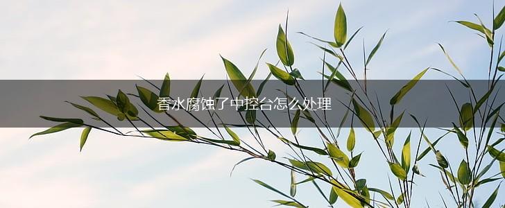 香水腐蚀了中控台怎么处理,第1张