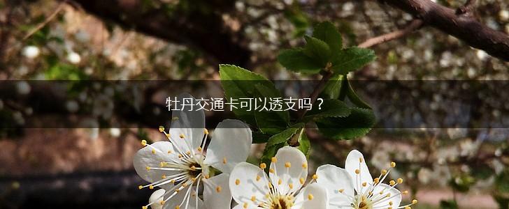 牡丹交通卡可以透支吗？,第1张