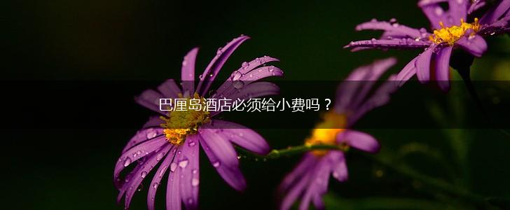 巴厘岛酒店必须给小费吗？,第1张