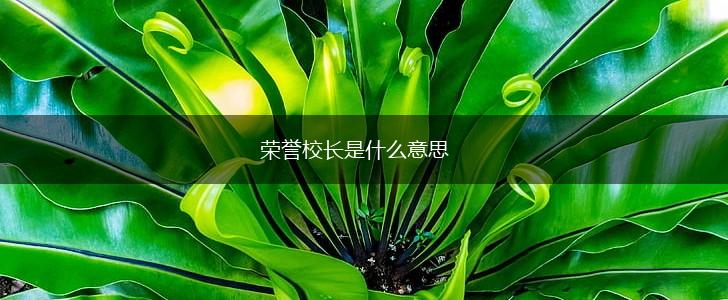 荣誉校长是什么意思,第1张