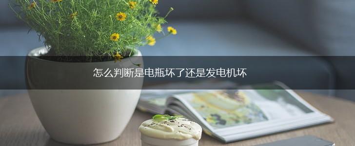 怎么判断是电瓶坏了还是发电机坏,第1张