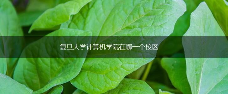 复旦大学计算机学院在哪一个校区,第1张
