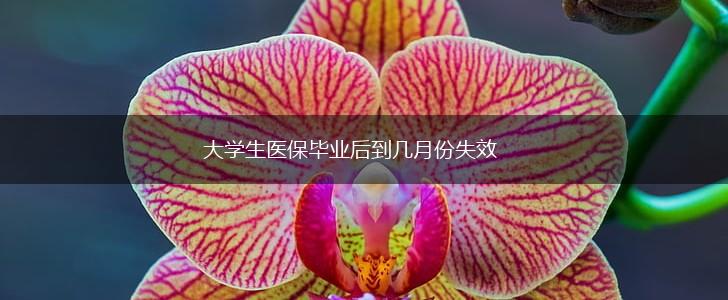 大学生医保毕业后到几月份失效,第1张