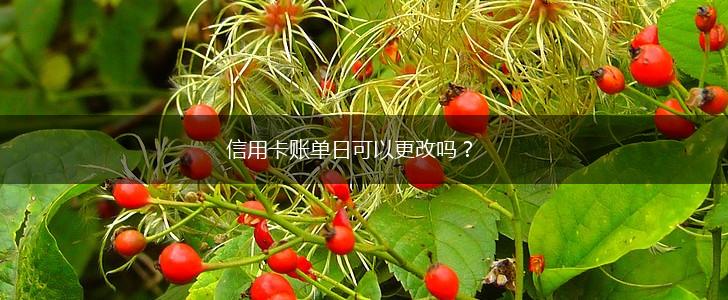 信用卡账单日可以更改吗？,第1张