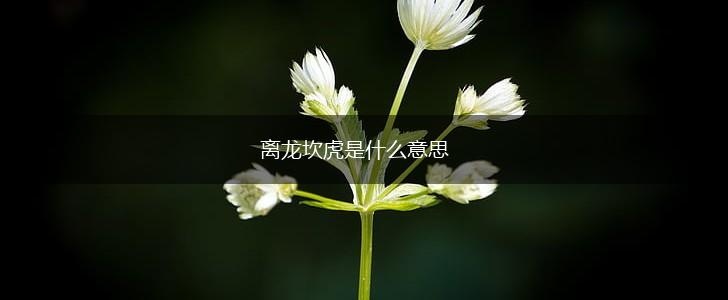 离龙坎虎是什么意思,第1张