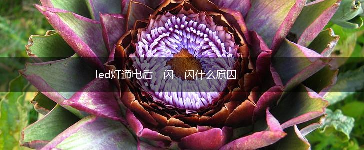 led灯通电后一闪一闪什么原因,第1张