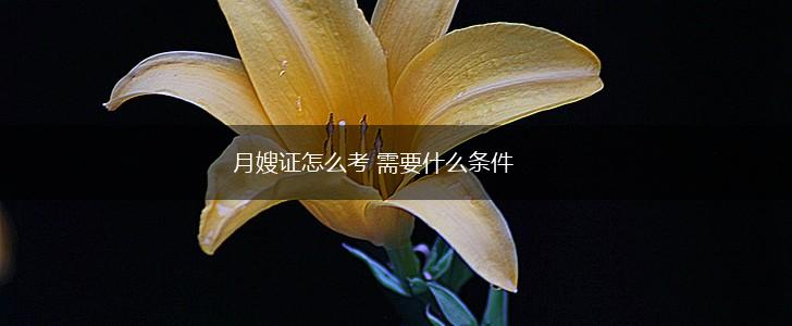 月嫂证怎么考 需要什么条件,第1张 月嫂证怎么考 需要什么条件,第1张