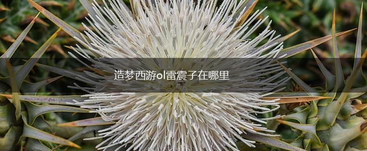 造梦西游ol雷震子在哪里,第1张