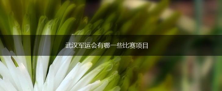 武汉军运会有哪一些比赛项目,第1张