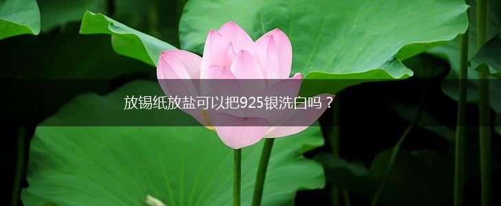 放锡纸放盐可以把925银洗白吗？,第1张