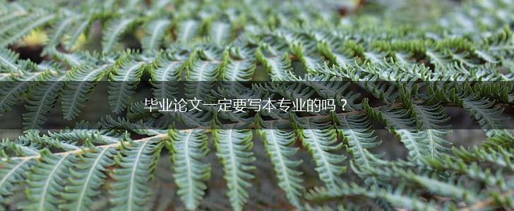 毕业论文一定要写本专业的吗？,第1张