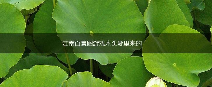 江南百景图游戏木头哪里来的,第1张