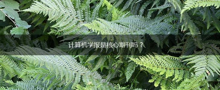 计算机学报是核心期刊吗？,第1张