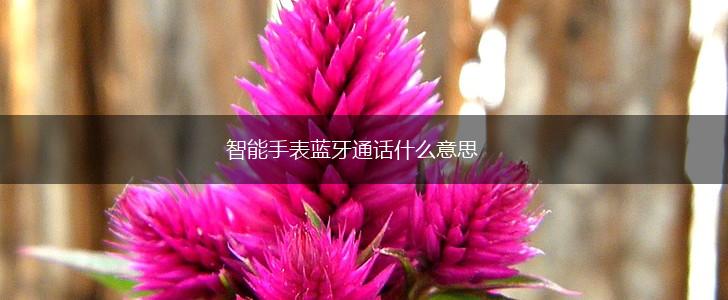 智能手表蓝牙通话什么意思,第1张 智能手表蓝牙通话什么意思,第1张