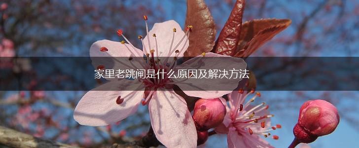 家里老跳闸是什么原因及解决方法,第1张