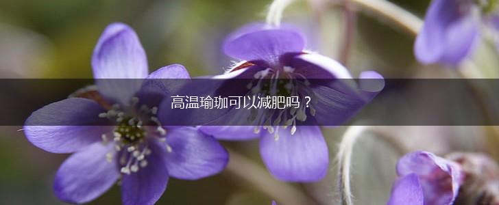高温瑜珈可以减肥吗？,第1张