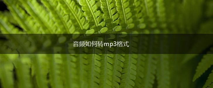 音频如何转mp3格式,第1张
