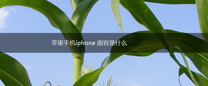 苹果手机iphone 面容是什么,第1张