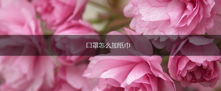口罩怎么加纸巾,第1张