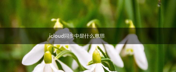 icloud同步中是什么意思,第1张