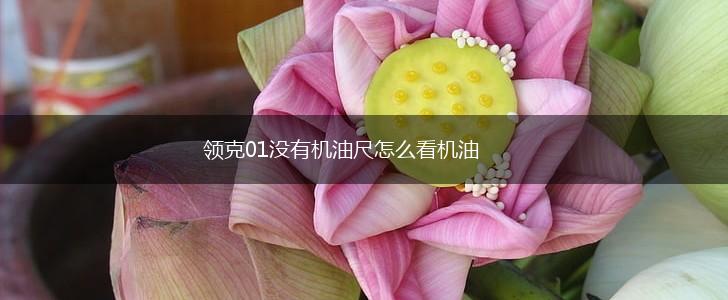 领克01没有机油尺怎么看机油,第1张