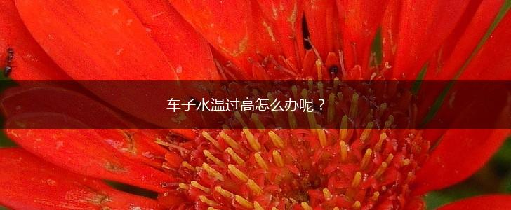 车子水温过高怎么办呢？,第1张