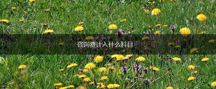 咨询费计入什么科目,第1张