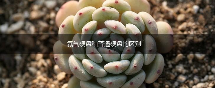 氦气硬盘和普通硬盘的区别,第1张