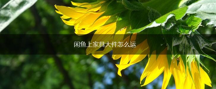 闲鱼上家具大件怎么运,第1张