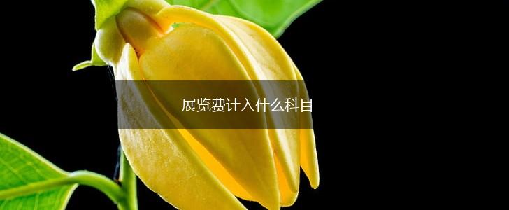 展览费计入什么科目,第1张
