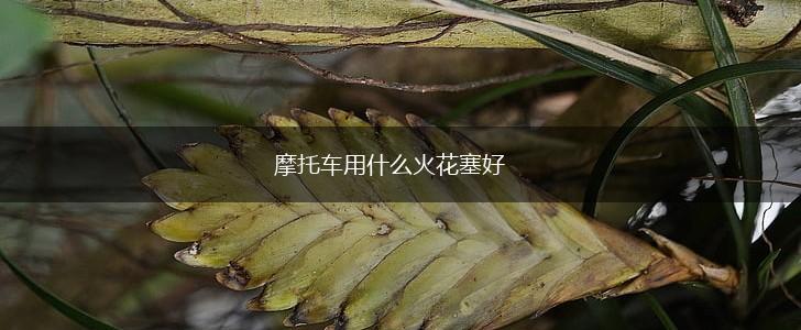 摩托车用什么火花塞好,第1张