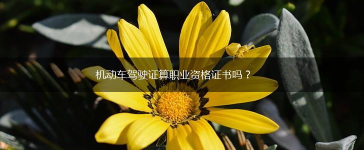 机动车驾驶证算职业资格证书吗?,第1张 机动车驾驶证算职业资格证书吗?,第1张