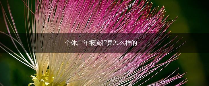 个体户年报流程是怎么样的,第1张