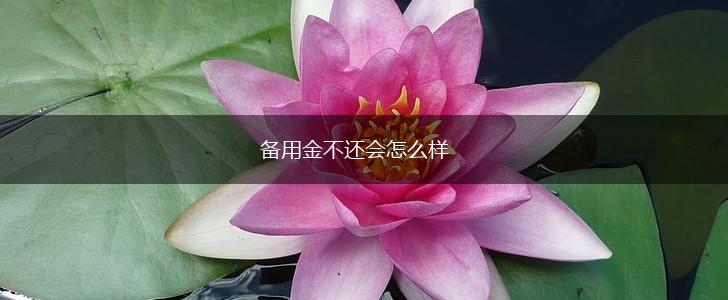 备用金不还会怎么样,第1张