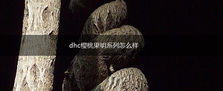 dhc樱桃果明系列怎么样,第1张