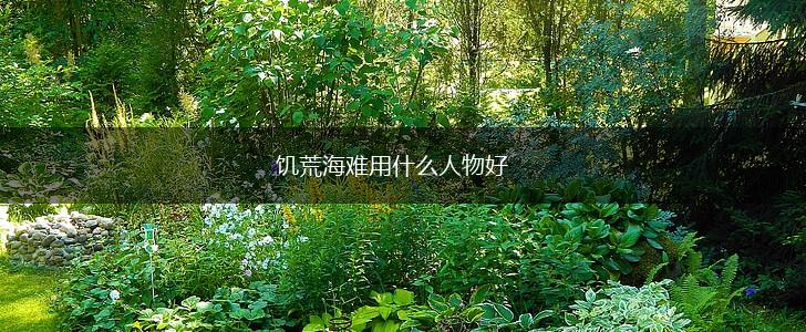 饥荒海难用什么人物好,第1张