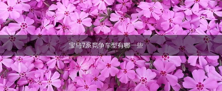宝马7系竞争车型有哪一些,第1张