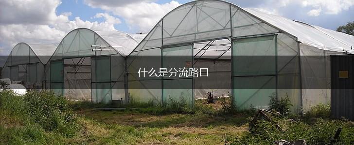 什么是分流路口,第1张
