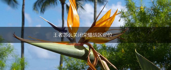 王者怎么关闭荣耀战区定位,第1张