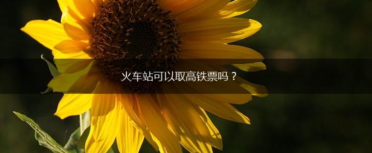 火车站可以取高铁票吗？,第1张