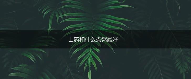 山药和什么煮粥最好,第1张