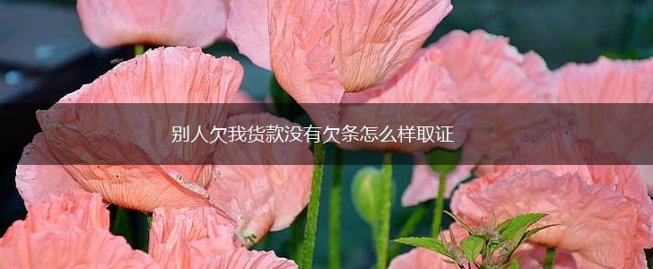 别人欠我货款没有欠条怎么样取证,第1张