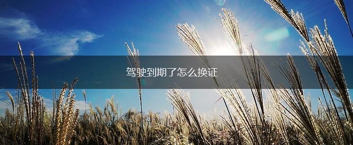驾驶到期了怎么换证,第1张