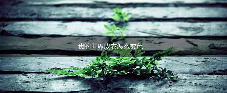 我的世界皮衣怎么变色,第1张