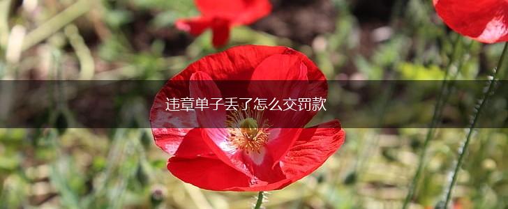 违章单子丢了怎么交罚款,第1张