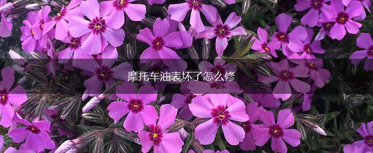 摩托车油表坏了怎么修,第1张