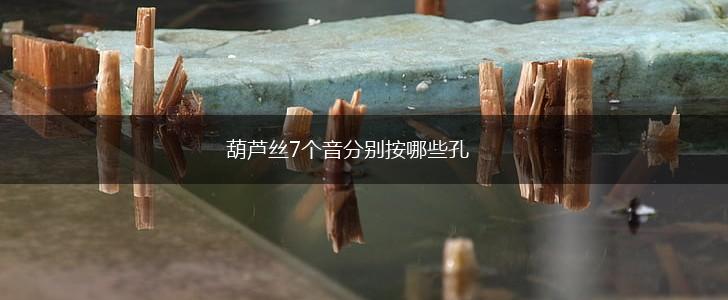 葫芦丝7个音分别按哪些孔,第1张