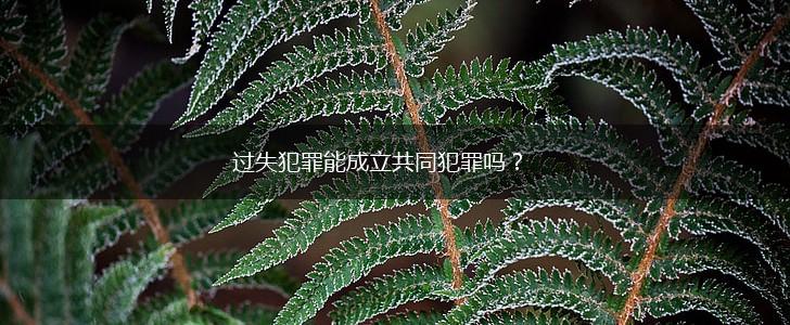 过失犯罪能成立共同犯罪吗？,第1张