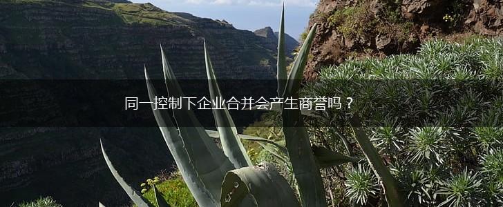 同一控制下企业合并会产生商誉吗？,第1张